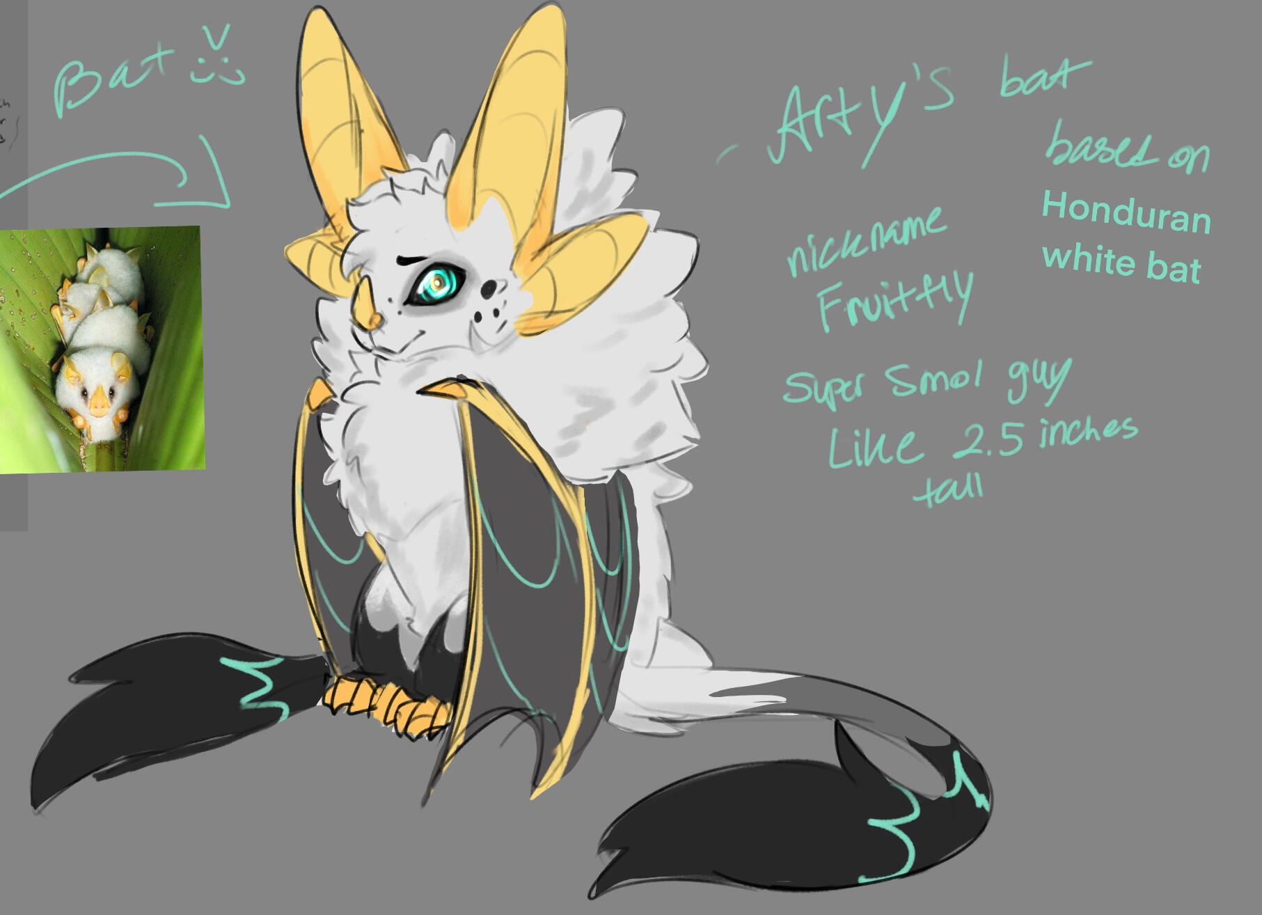 Full Body with flat color